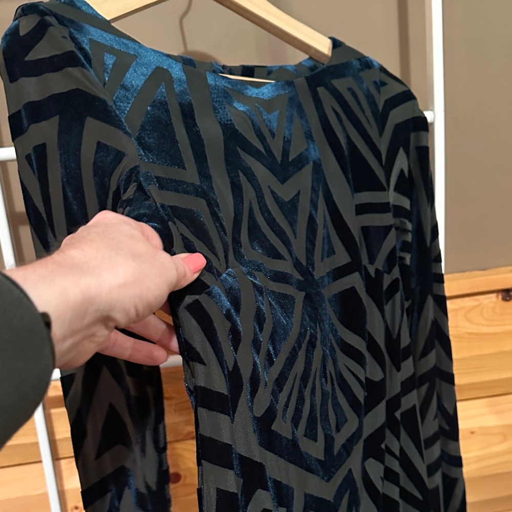 Velvet Burnout Geometric Dress in Deep Green Teal Lined Sheer Sleeves Zip Back